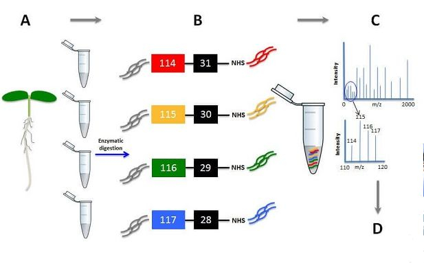 三問(wèn)中國(guó)人類蛋白質(zhì)組計(jì)劃